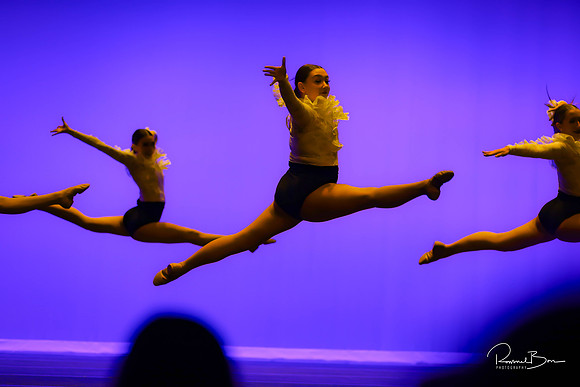 2020 WV Orchesis Showcase-379