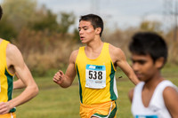 WVHS Boys CC Regionals-9
