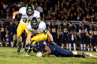 2015 Neuqua Valley Football Game-15