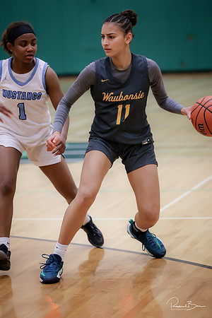 20241121 Downers Grove South-110