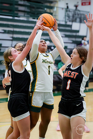 20250111 Lincoln-Way West-29