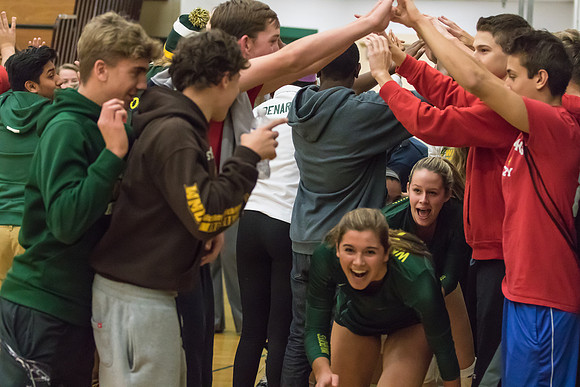 WVHS Varsity Girls Volleyball - Regionals vs Metea Valley-54