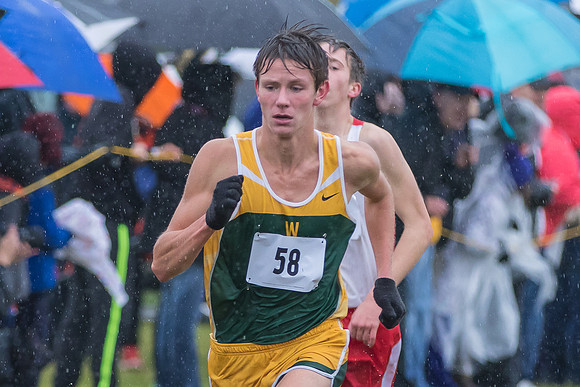 WVHS Boys Cross Country - Sectionals-21