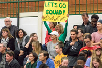 WVHS Varsity Girls Volleyball - Regionals vs Metea Valley-33