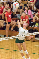 2015 Girls Volleyball vs Hinsdale Central-20