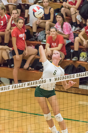 2015 Girls Volleyball vs Hinsdale Central-20