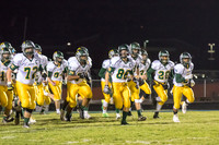 Playoffs - Round 2 - Neuqua Valley-5