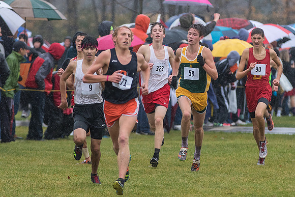 WVHS Boys Cross Country - Sectionals-18