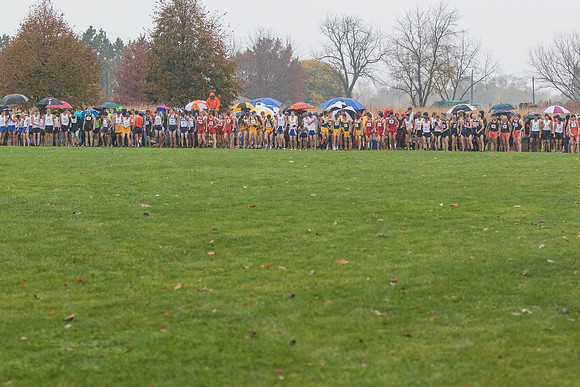 WVHS Boys Cross Country - Sectionals-2