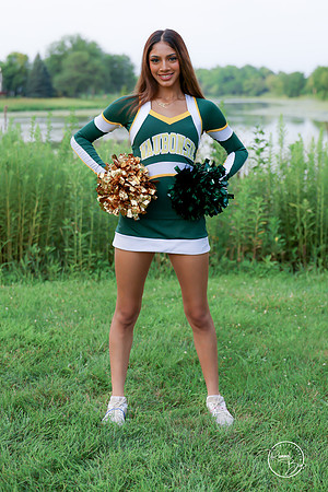 2026 Ari C-17