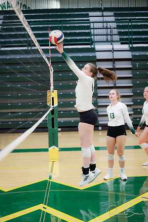 2022 WV Volleyball Seniors Action Shots-100