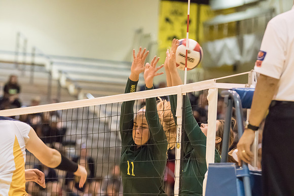 2015 WVHS Varsity Girls Volleyball vs Neuqua Valley-50