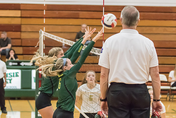 2015 WVHS Girls Volleyball - Glenbard North Match -6