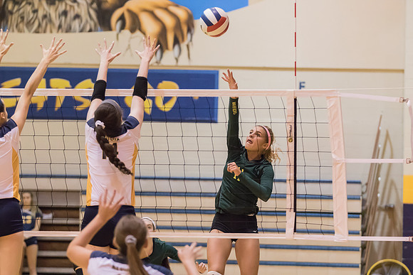2015 WVHS Varsity Girls Volleyball vs Neuqua Valley-14