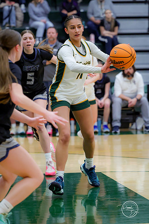 20250201 Oswego East-48