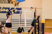 2015 WVHS Varsity Girls Volleyball vs Neuqua Valley-11