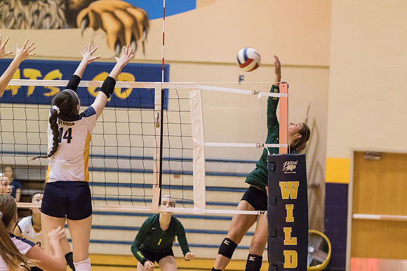2015 WVHS Varsity Girls Volleyball vs Neuqua Valley-11