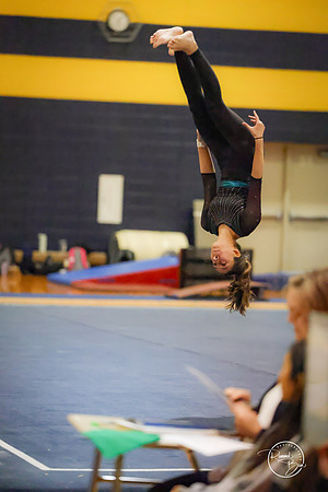 20250123 Valley Co-Op Gymnastics-228