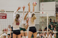 2015 Girls Volleyball vs Hinsdale Central-3
