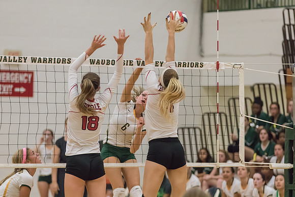 2015 Girls Volleyball vs Hinsdale Central-3