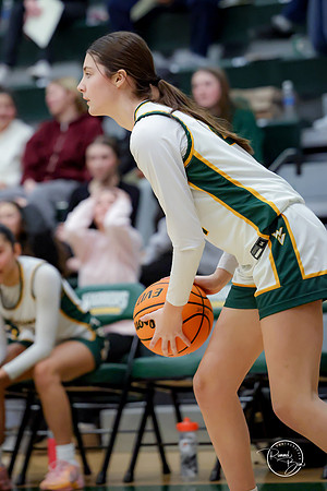 20250217 Girls Basketball Regional Semi-Finals-106
