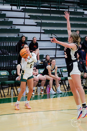 20250111 Lincoln-Way West-31