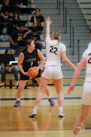 20250204 Neuqua Valley-1