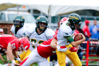 20161029 WV Football vs Hinsdale Central_014