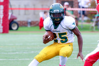 20161029 WV Football vs Hinsdale Central_020