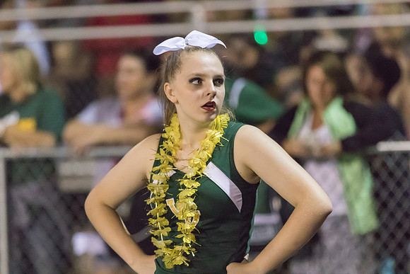 2015 Cheerleading - GBN game-26