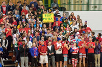 WVHS Varsity Girls Volleyball - Regionals vs Metea Valley-9