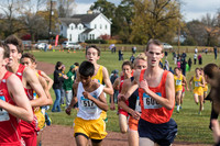 WVHS Boys CC Regionals-15