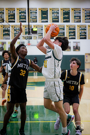 20250124 Metea Valley-137