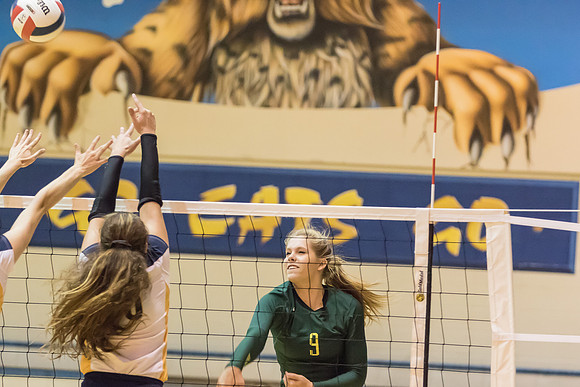 2015 WVHS Varsity Girls Volleyball vs Neuqua Valley-6
