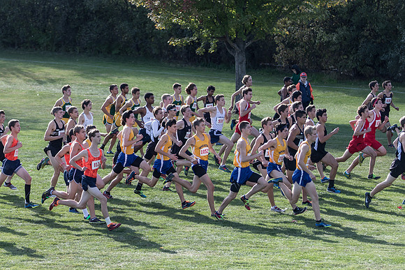 2015 DVC Meet-9