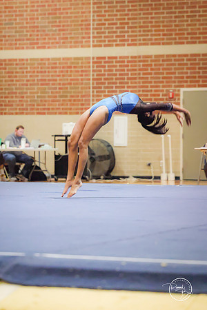 20250123 Valley Co-Op Gymnastics-244