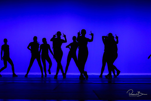 2020 WV Orchesis Showcase-394
